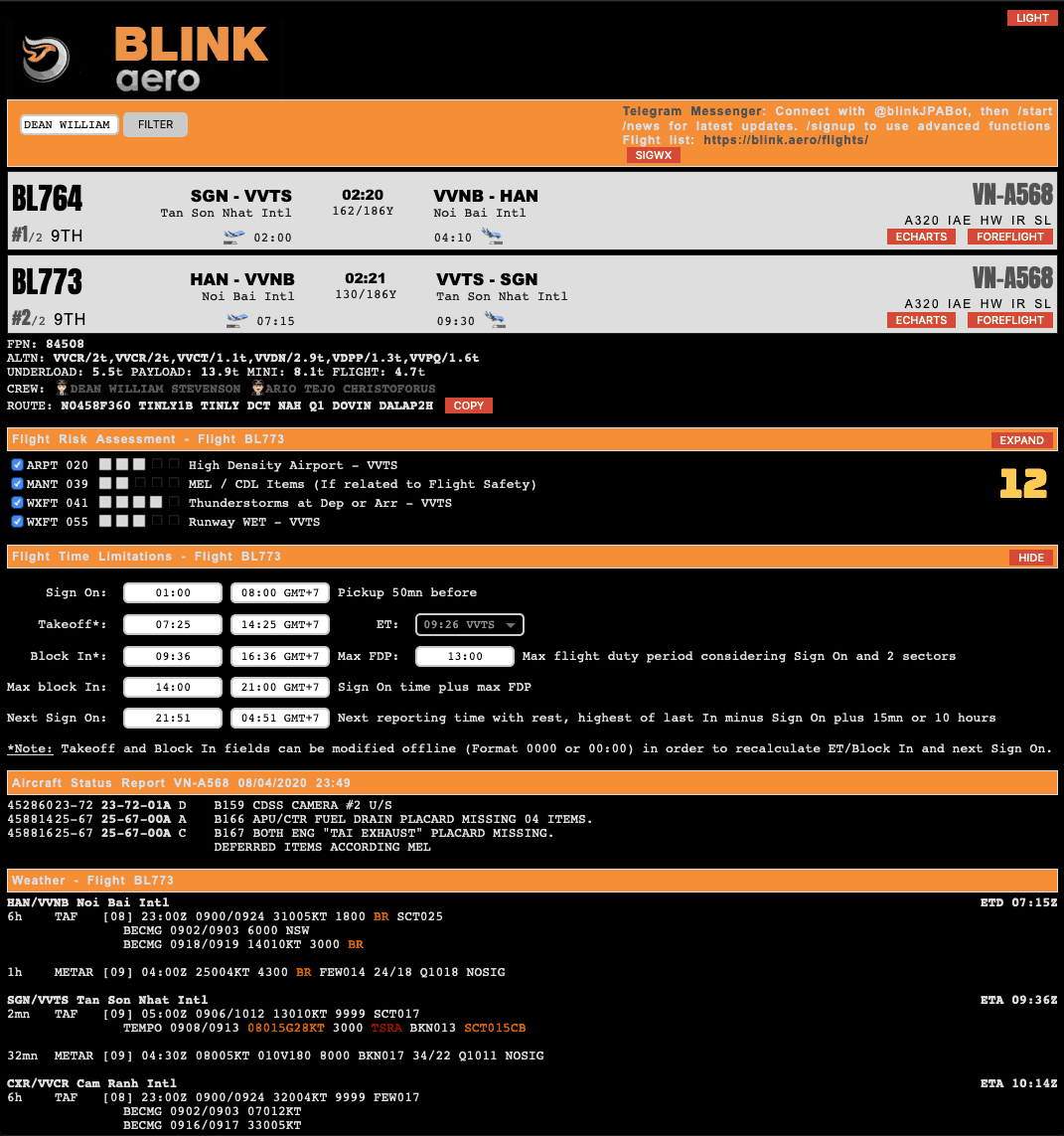 Web flight briefing interface